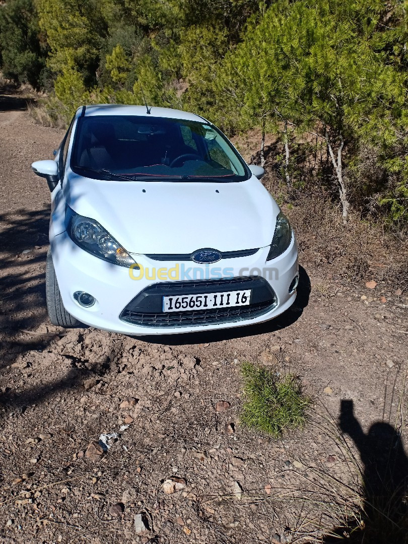 Ford Fiesta 2011 Citi