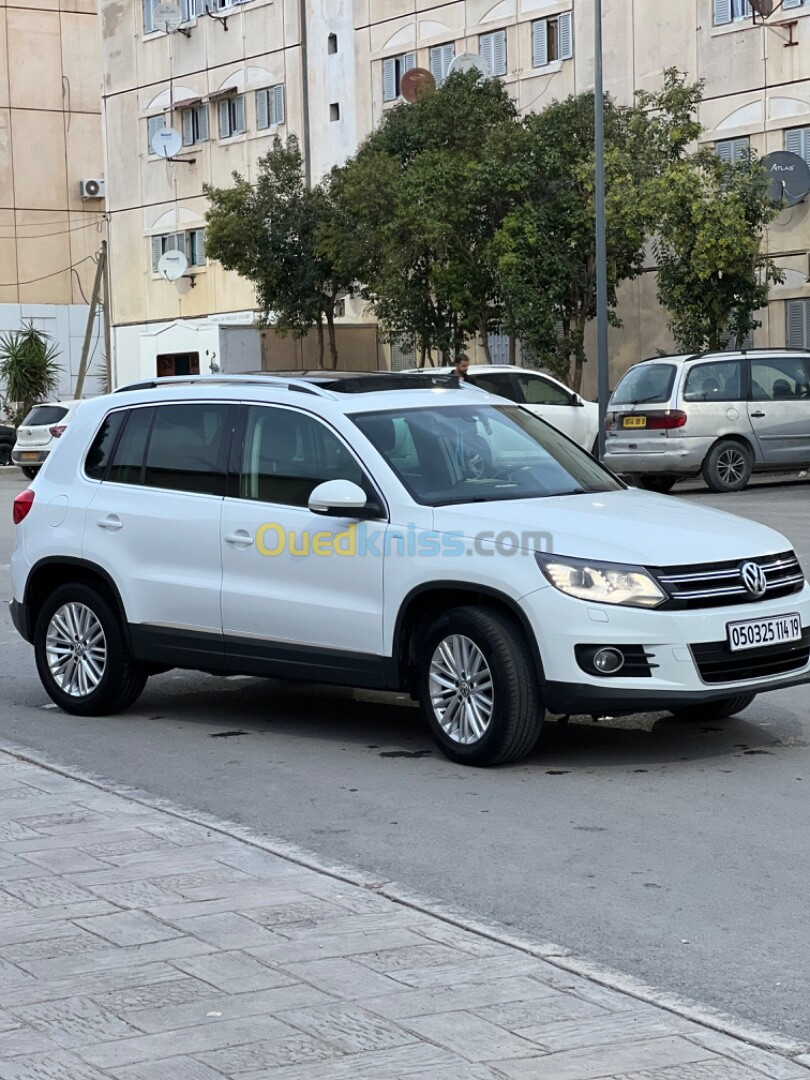 Volkswagen Tiguan 2014 Cup