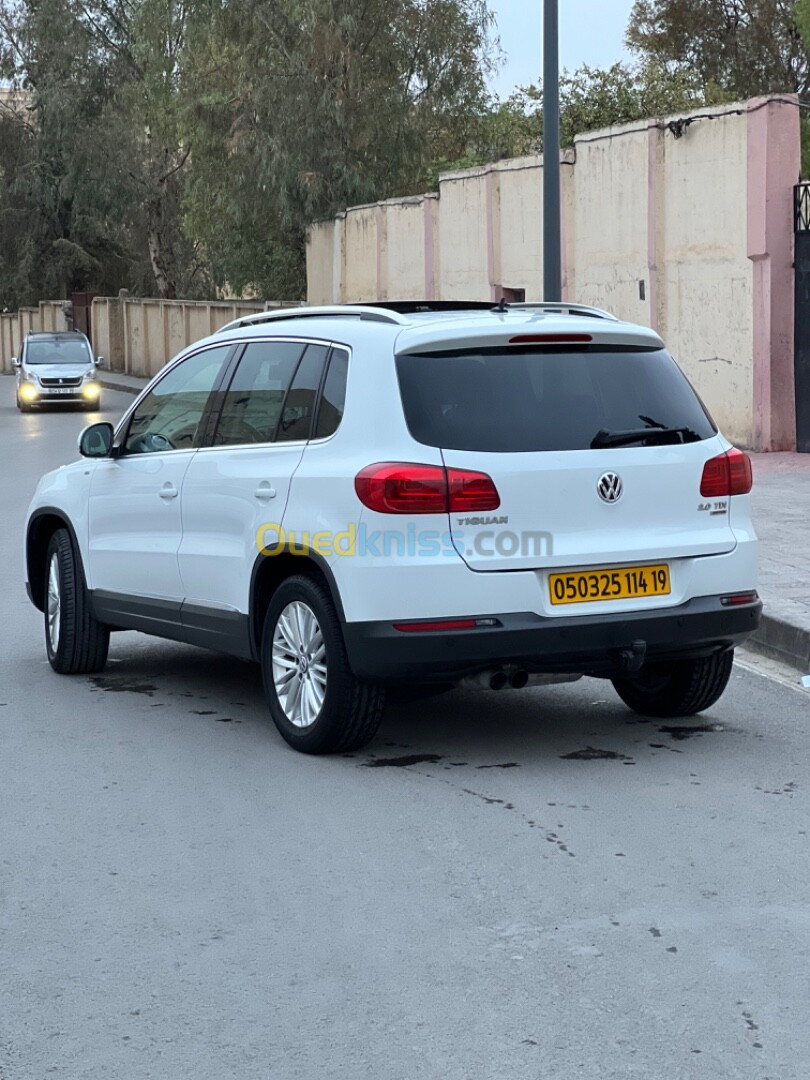 Volkswagen Tiguan 2014 Cup