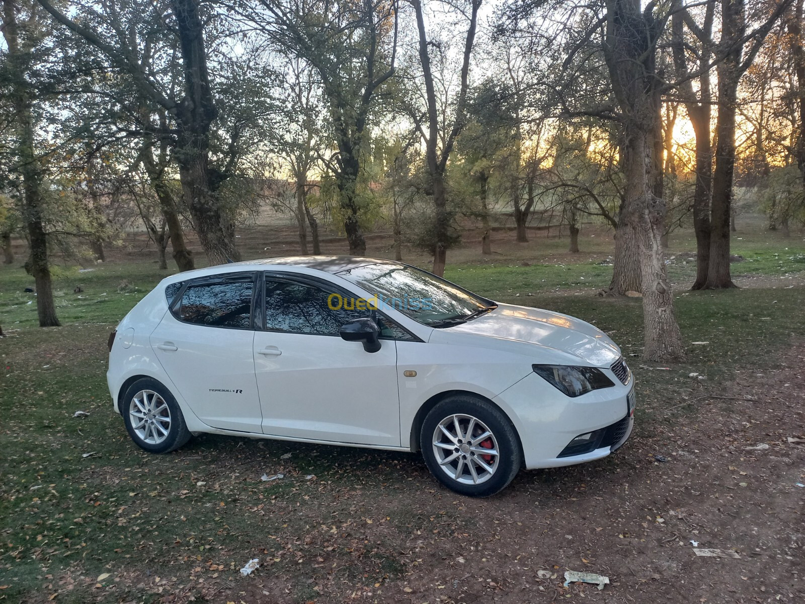 Seat Ibiza 2013 Fully