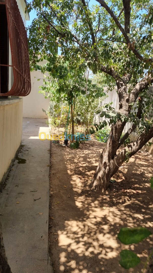 Vente Niveau De Villa F4 Jijel Taher