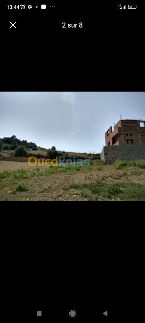 Vente Terrain Blida Bouinan