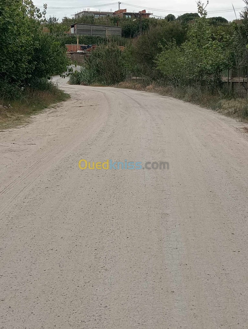 Vente Terrain Boumerdès Zemmouri