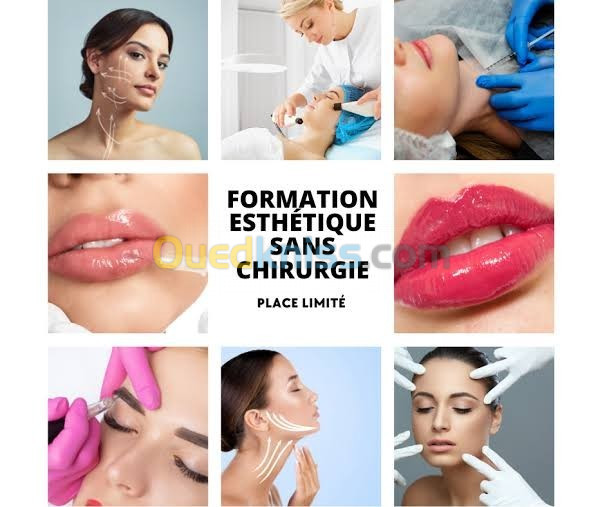 Formation en Esthétique sans chirurgie 