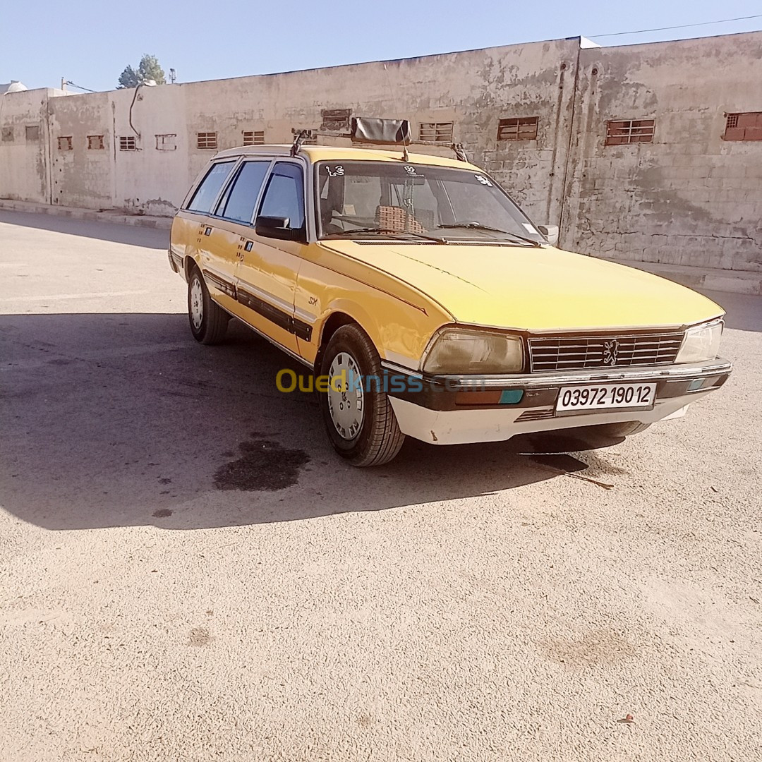 Peugeot 505 1990 familiya