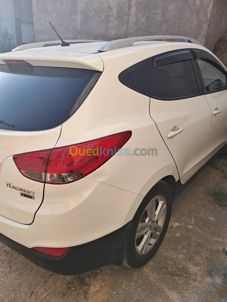 Hyundai Tucson 2012 Tucson