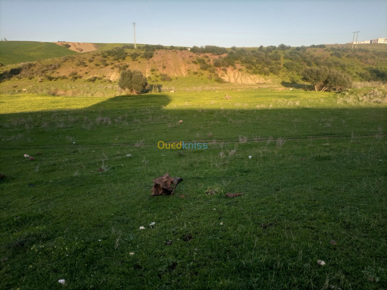 Vente Terrain Boumerdès Tidjelabine