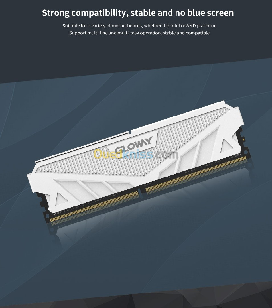 Gloway RAM DDR4 série G1 avec dissipateur thermique, 8Gox2(16 Go),3600MHz, DIMM, XMP, Desktop Gaming