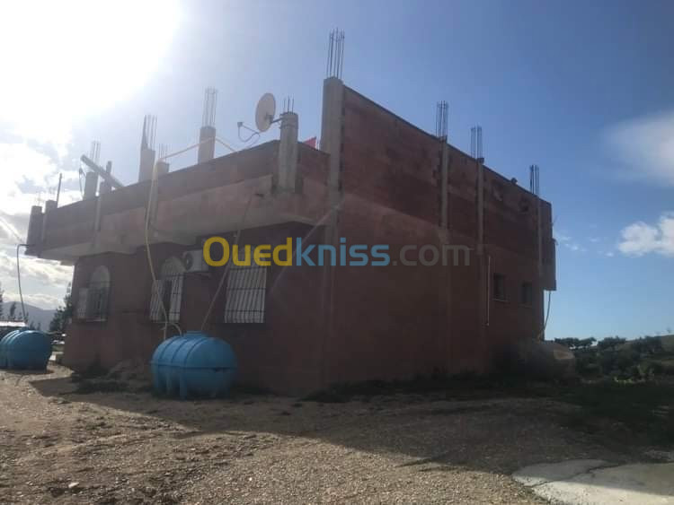 Vente Terrain Blida El affroun