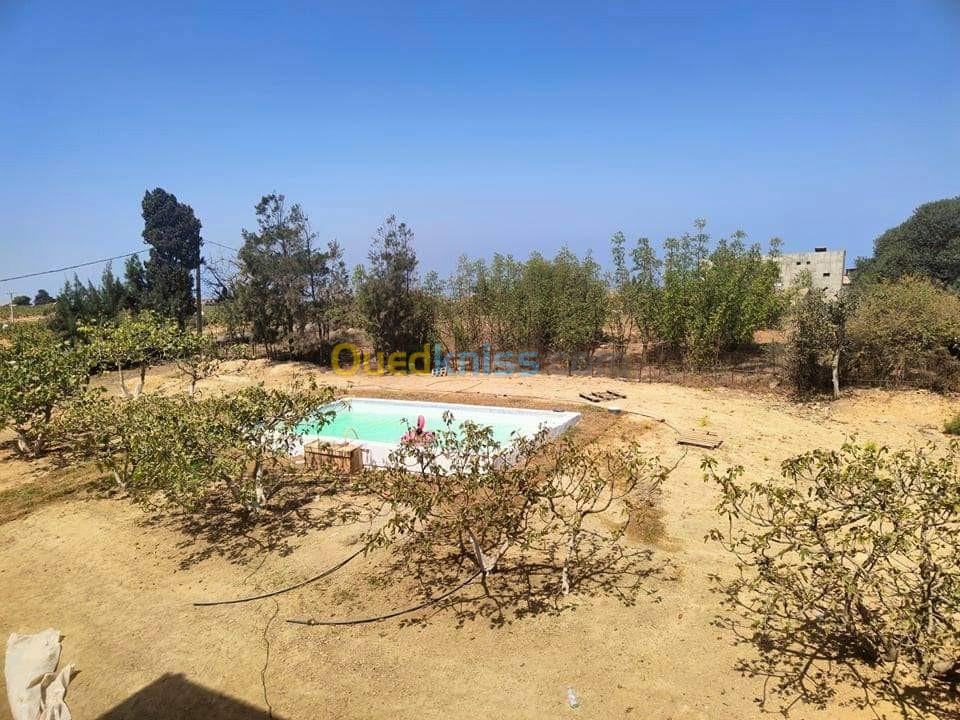 Location Villa Tipaza Bou haroun