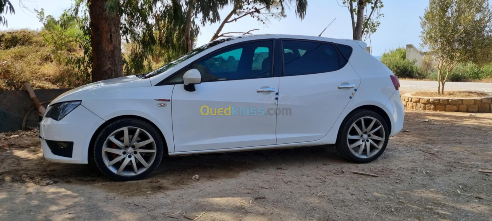 Seat Ibiza 2013 Ibiza