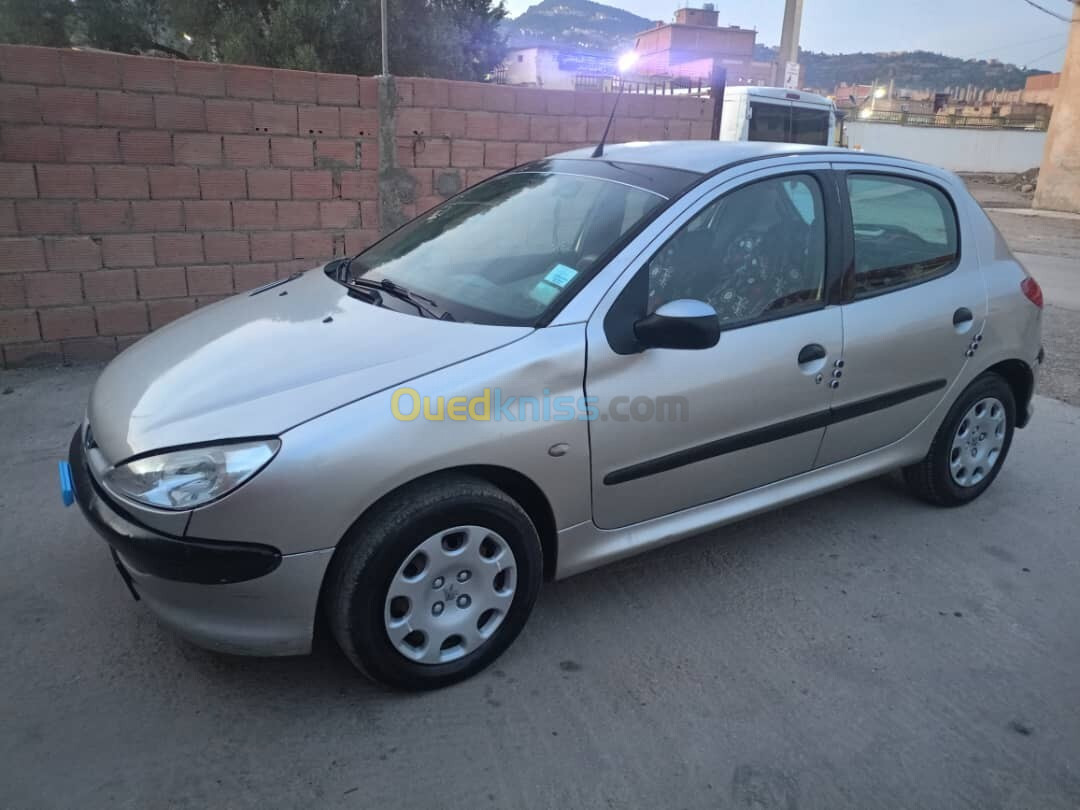 Peugeot 206 2004 206