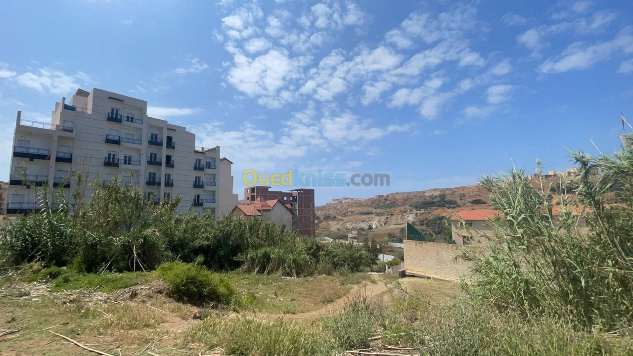 Vente Terrain Alger Cheraga