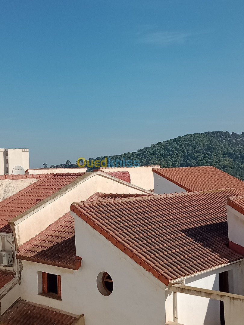 Vente Villa Tipaza Douaouda