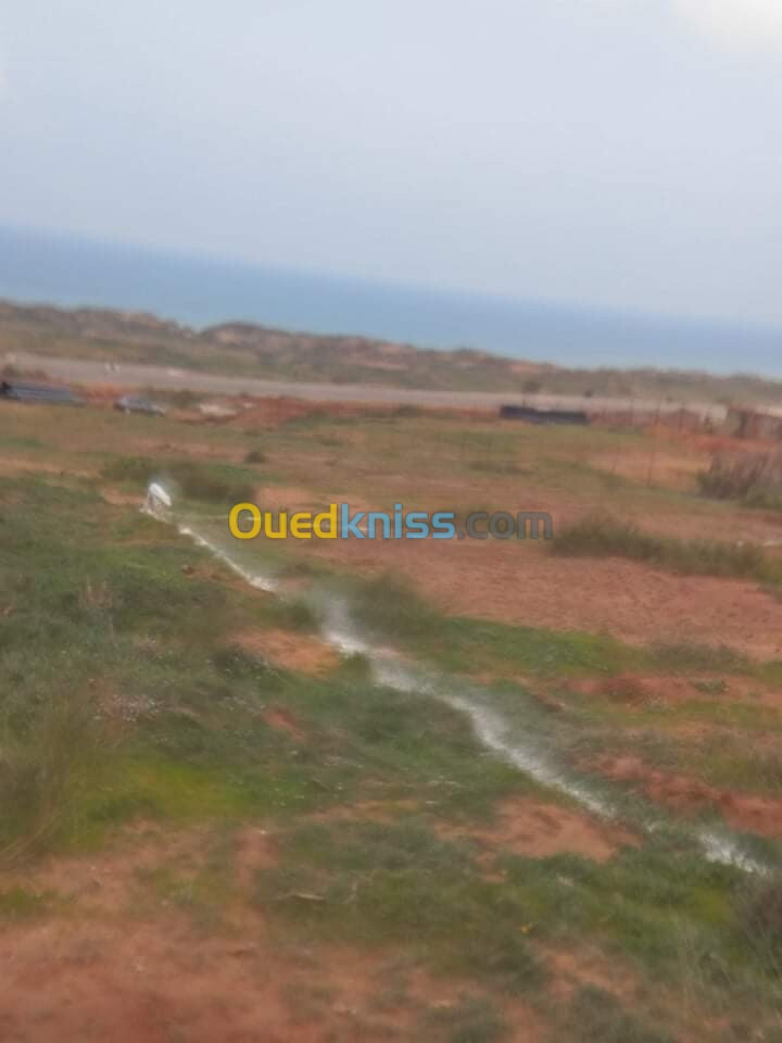 Vente Terrain Mostaganem Abdelmalek ramdane