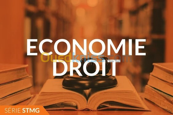 Professeur de economie et droit 