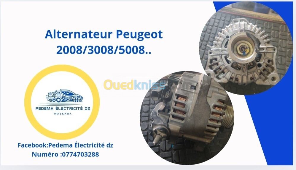 Alternateur démarreur Renault Peugeot 