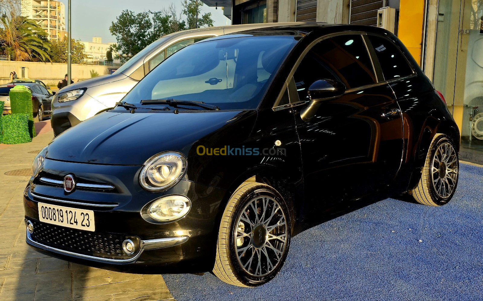 Fiat 500 2024 Dolcevita