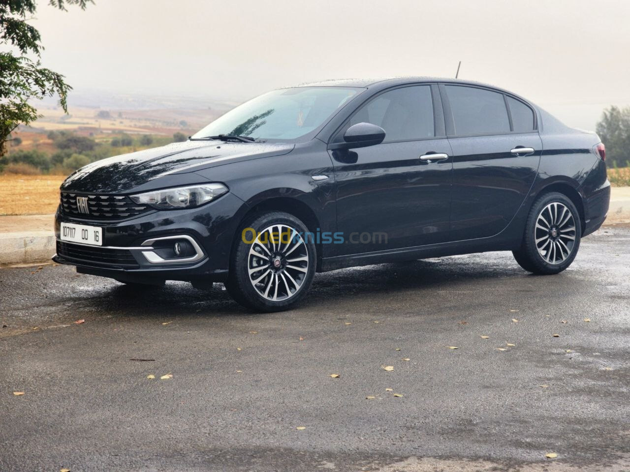 Fiat Tipo 2024 Life