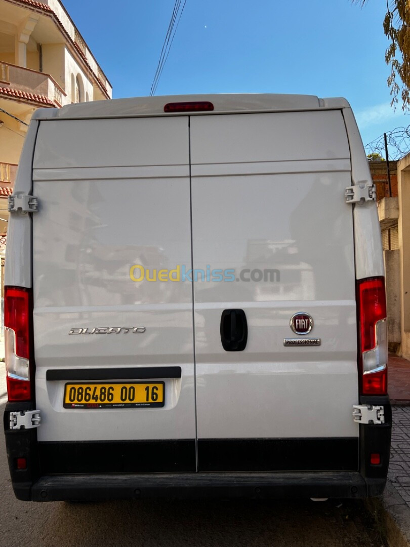 Fiat Ducato L2H2 2024