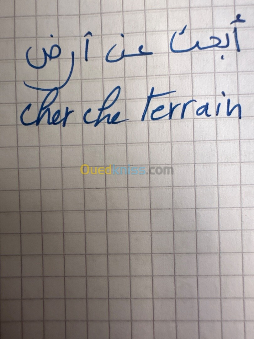 Cherche achat Terrain Alger Hussein dey