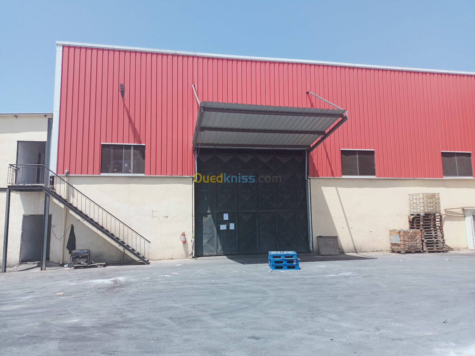 Location Hangar Alger Les eucalyptus