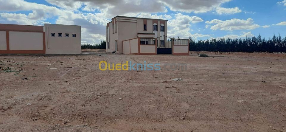 Vente Terrain Djelfa Hassi bahbah