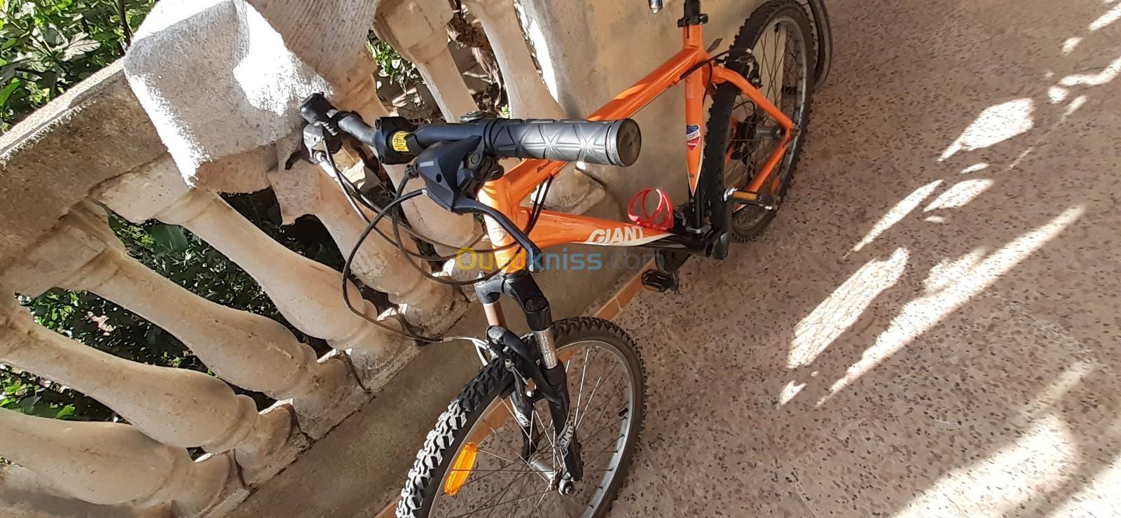 Velo vtt geant 