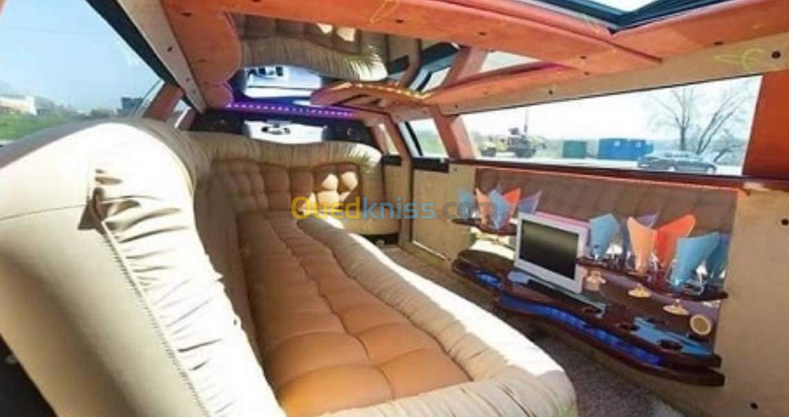 Limousine magnifique 