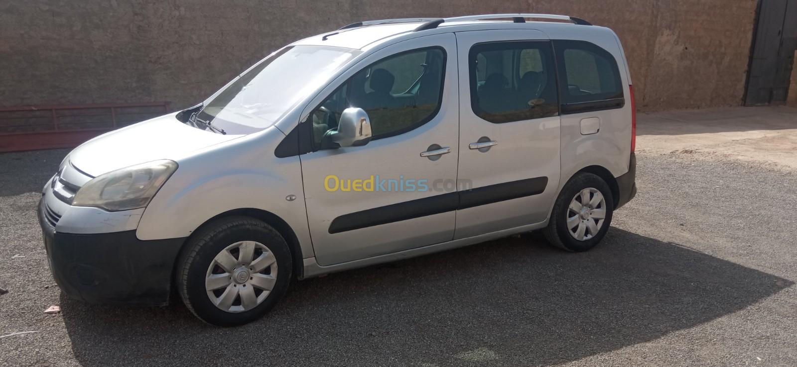 Citroen Berlingo 2010 Berlingo