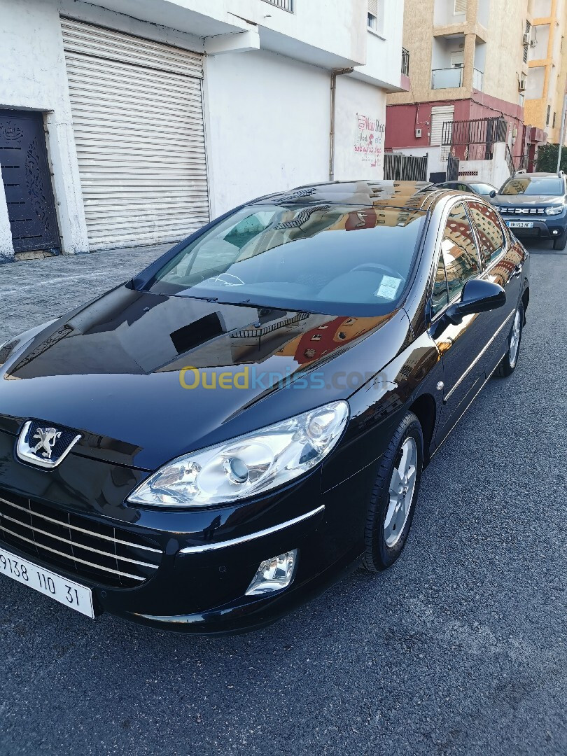 Peugeot 407 2010 407