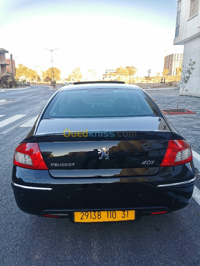 Peugeot 407 2010 407