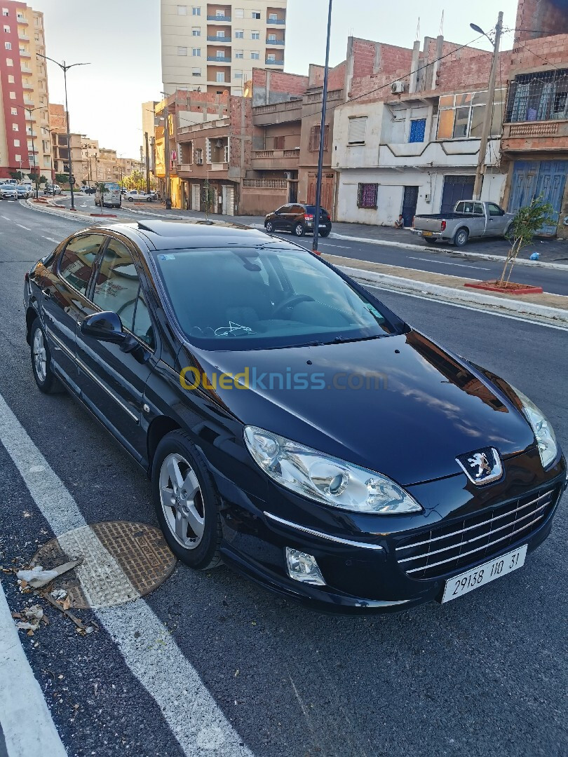 Peugeot 407 2010 407