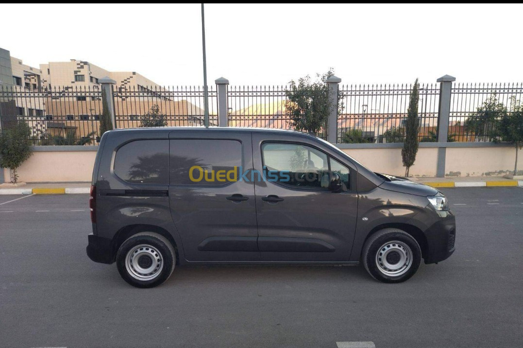 Fiat Doblo profitional 2023 Commercial