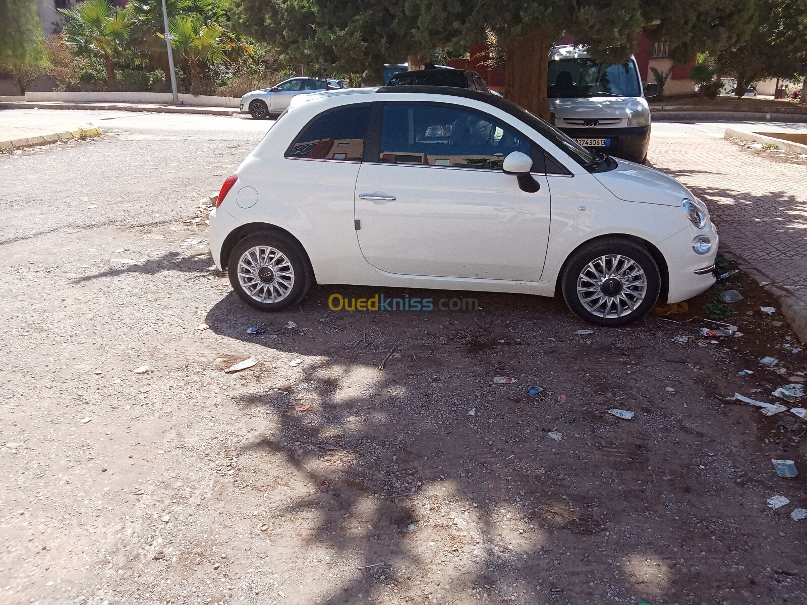 Fiat 500 2024 Club