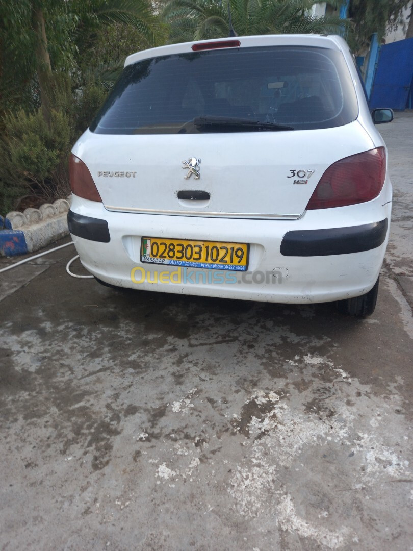 Peugeot 307 2002 307