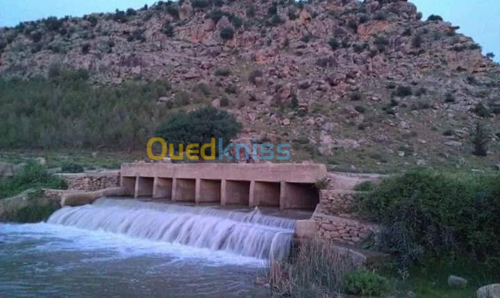 Vente Terrain Agricole Aïn Defla Oued djemaa