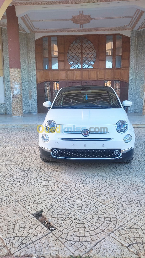 Fiat 500 2024 Culp