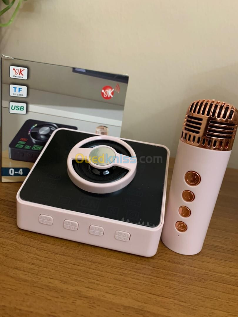 Machine de karaoké Mini microphone et haut-parleur KTV