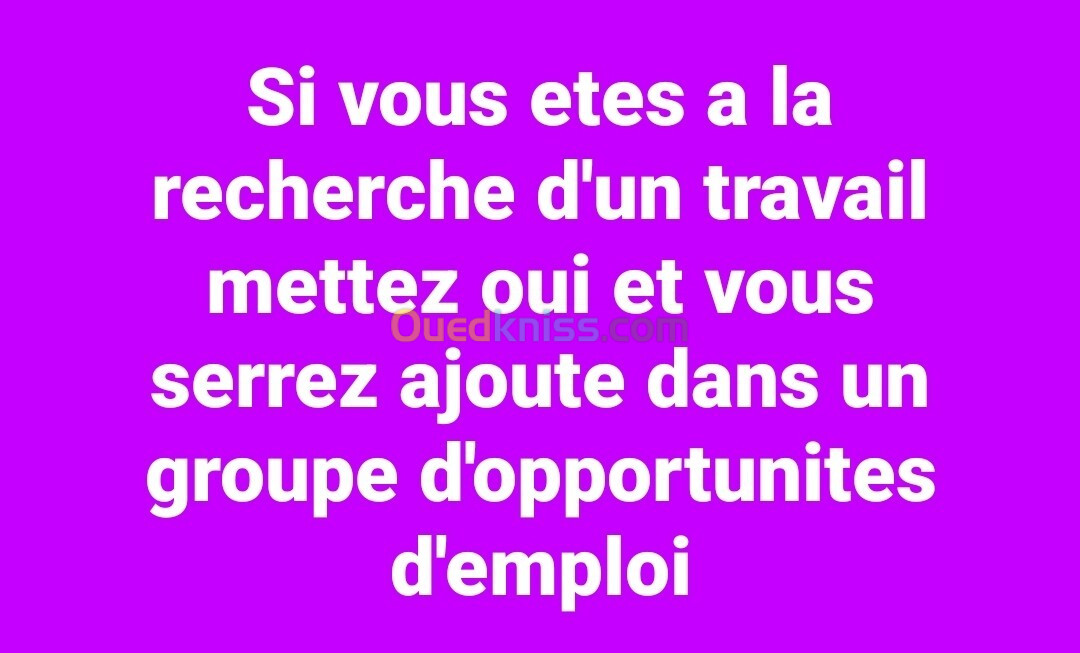 Offres d'emploi 