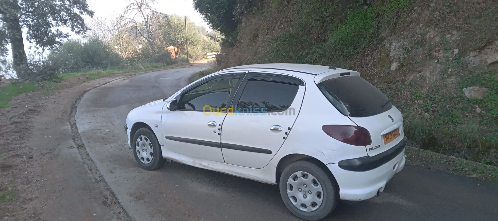 Peugeot 206 2004 206