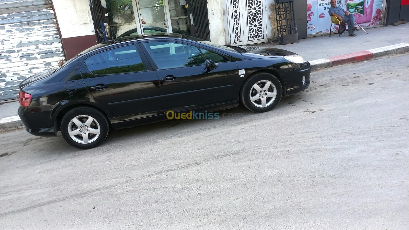 Peugeot 407 2008 407