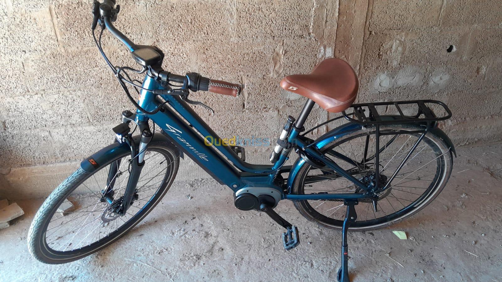 Vélo électrique 