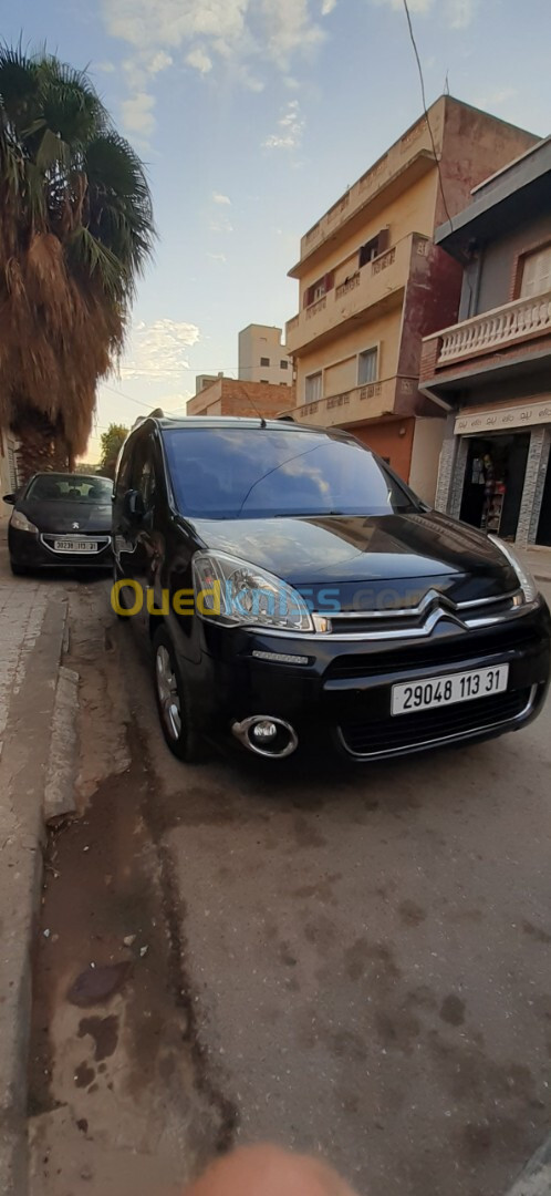 Citroen Berlingo 2013 Berlingo