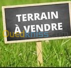 Vente Terrain Annaba Annaba