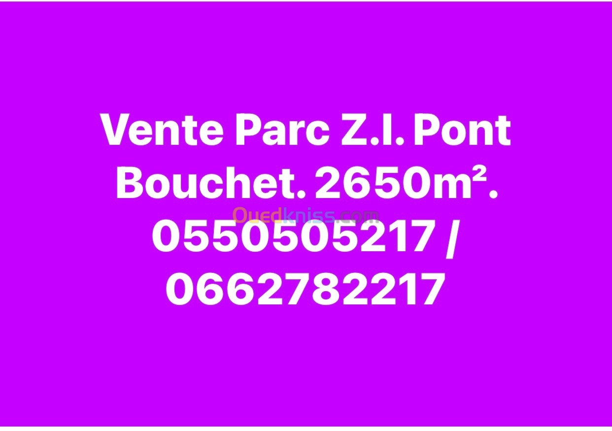 Vente Hangar Annaba Annaba