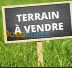 Vente Terrain Skikda El marsa