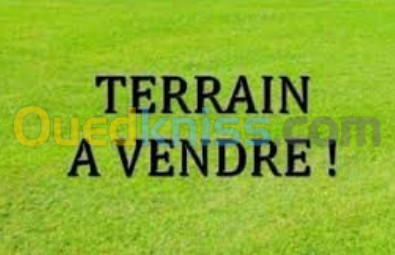 Vente Terrain Annaba Annaba