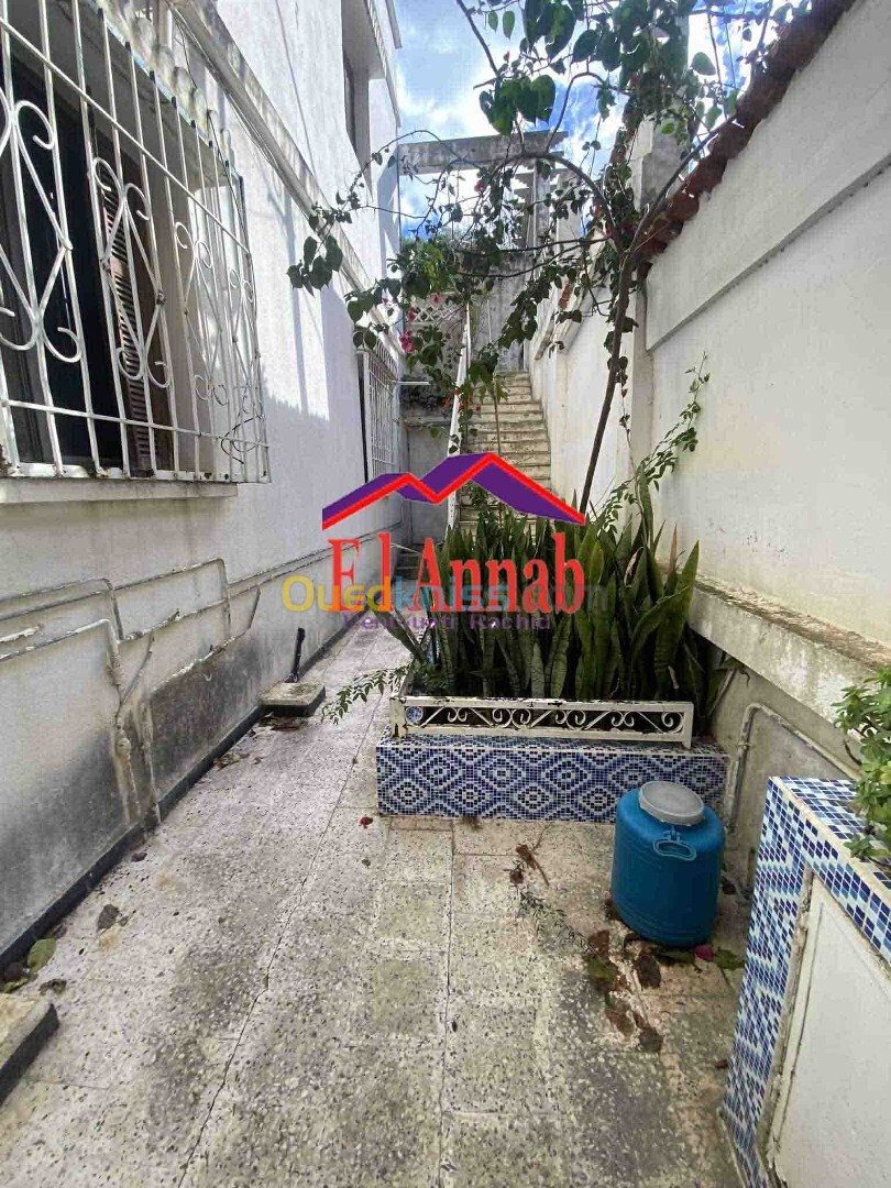 Location Appartement F3 Annaba Annaba