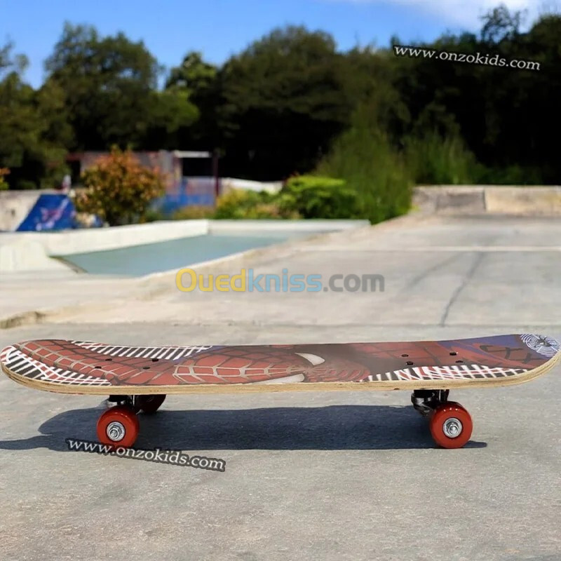 Skateboard, Planche de roulettes en bois pour adulte